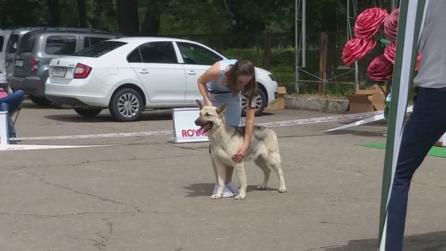 Фиелисс ЕДИНСТВЕННАЯ и НЕПОВТОРИМАЯ