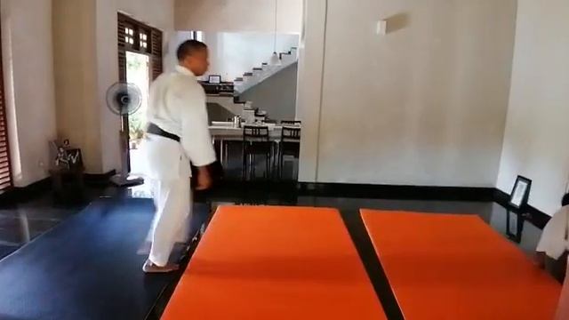 Ki Aikido Taigi 1 смотреть онлайн
