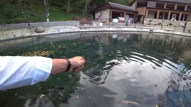 База отдыха Речная Долина #Ведено #базаотдыха #отдых #туризм #Чечня #ЧеченскаяРеспублика #родники