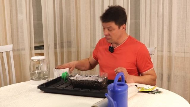 забыл посадить баклажаны или как ускорить прорастание семян баклажан смотреть онлайн