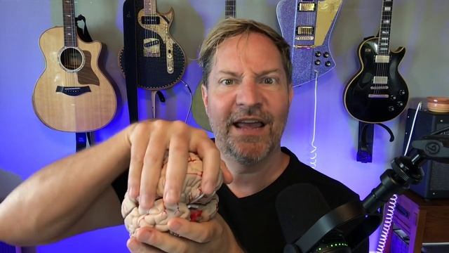 ? Executive Function and your BRAIN! How it works, with a model. смотреть онлайн