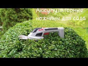 Аккумуляторные ножницы AL- KO Стрижем самшит новыми ножницами,стоило ли покупать?