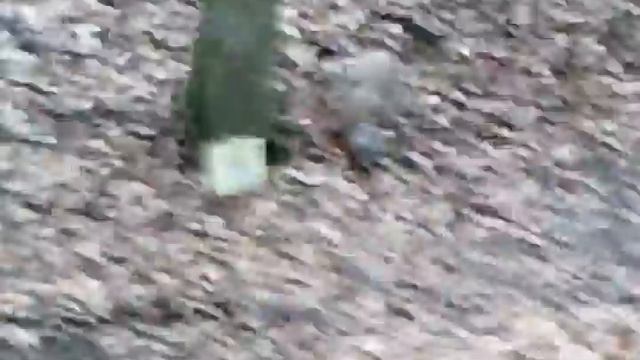 1.Bowhunting mujo 3d смотреть онлайн