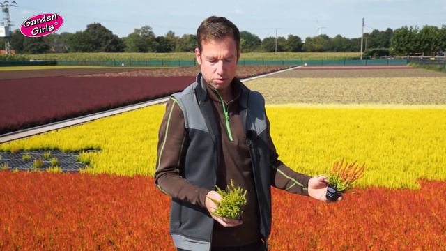 Gardengirls® - von der Züchtung bis zum Endverkauf смотреть онлайн