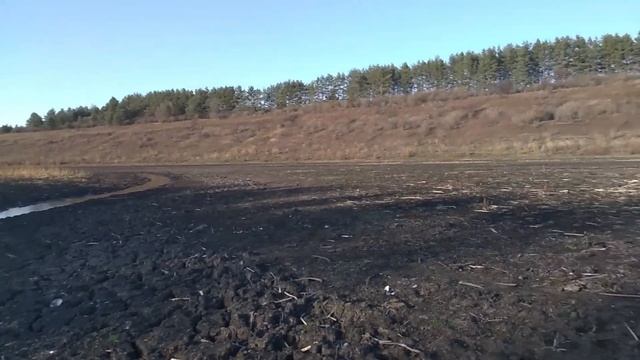 Пересохший пруд кишит от рыбы смотреть онлайн