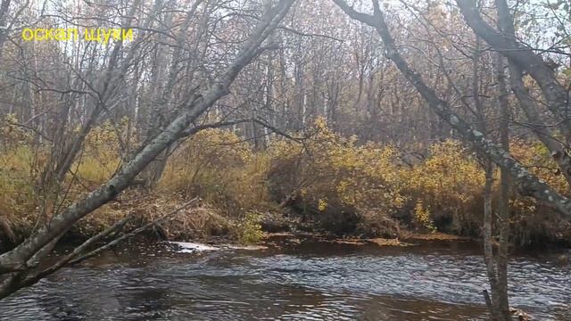 Рыбалка удочкой в таежных местах смотреть онлайн