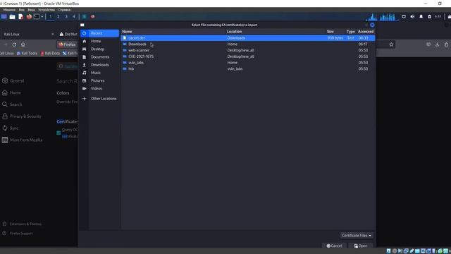 Установка и настройка BurpSuite