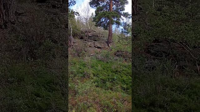 Горы Жасыбай. Путешествие по Казахстану. Баянаул. Баянаульский национальный парк. смотреть онлайн