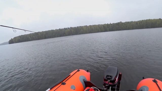 СПИННИНГ В ДУГУ ОТ ТАКИХ ОКУНЕЙ!!! ЛОВЛЯ ЖИРНЫХ ОКУНЕЙ!!! смотреть онлайн