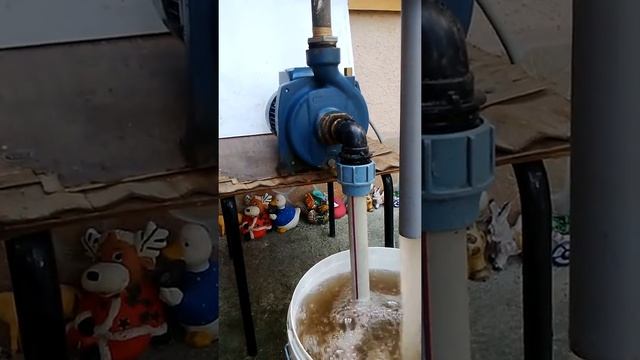 Тест на водна помпа -Рedrollo смотреть онлайн