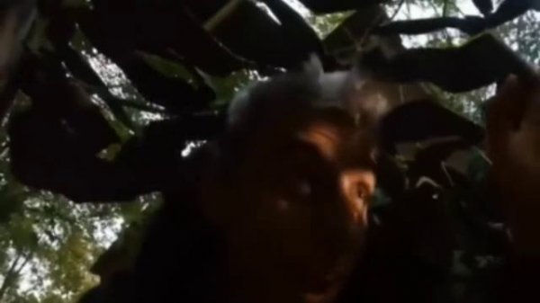 Влад А4 поймал зомби!