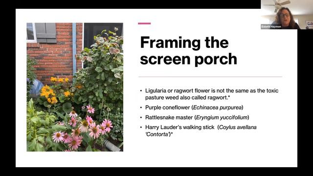Gardening With Native Plants смотреть онлайн