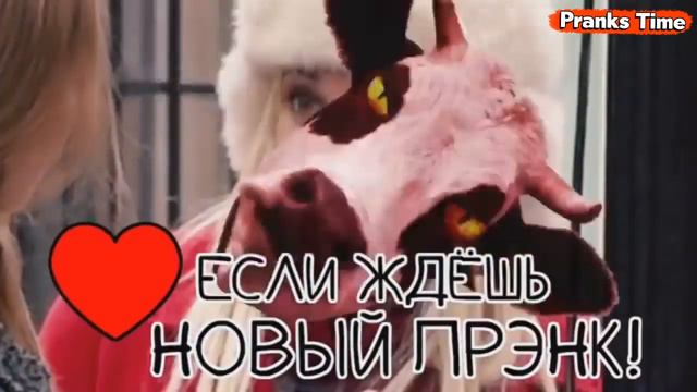 ДАЛА ПОЛАПАТЬ 🤩😂 ПРАНКИ НАД ЛЮДЬМИ ЖЕСТКИЕ ПРАНКИ НА УЛИЦЕ Лучшие Пранки смотреть онлайн