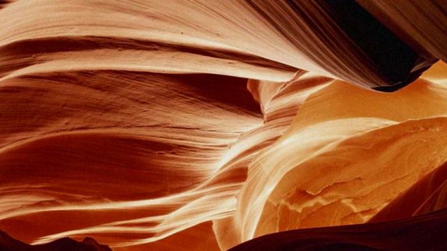 Jakarta - Shahin & Sepehr