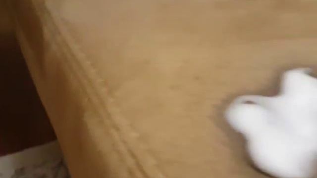 Пятновыводитель для ковров ера111 +77013135560