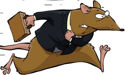 КРЫСЫ И КОРАБЛЬ смотреть онлайн