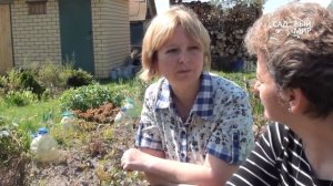 Как вырастить подснежники. Прострелы из семян.