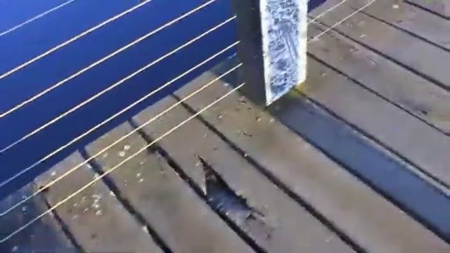 ROYAL PARK смотреть онлайн