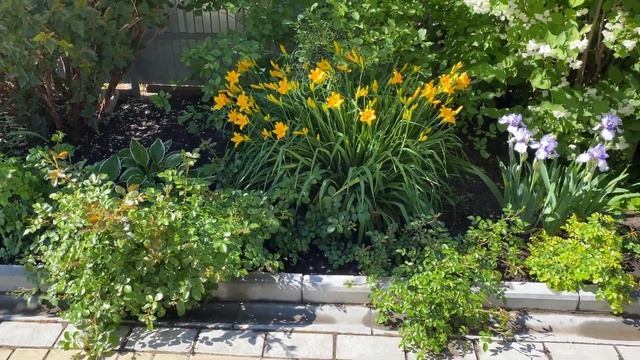 Цветение в саду! смотреть онлайн