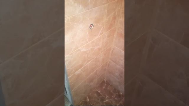 Малик кафель в туалете смотреть онлайн