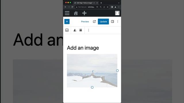 How To Add An Image In WordPress смотреть онлайн