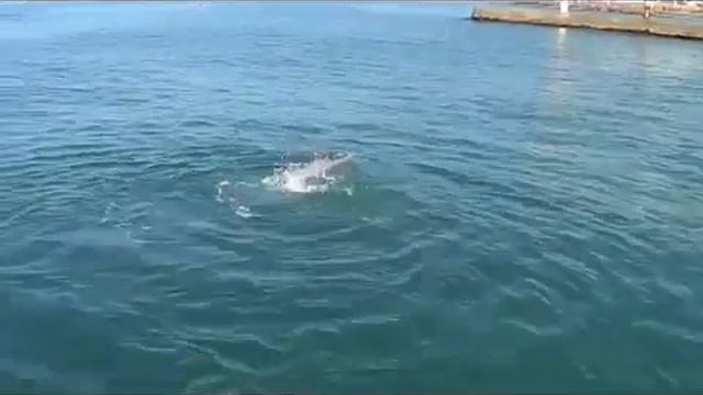 Сочи, теплое море смотреть онлайн