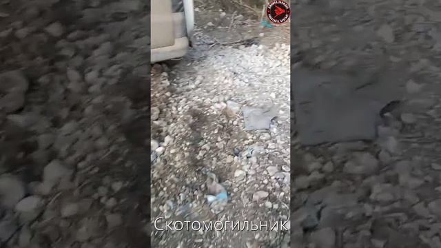 Разбитая техника хохлят Т64 с минным тралом, два М113 и MRAP, неплохо поконтрнаступали? ДЖАМБО? смотреть онлайн