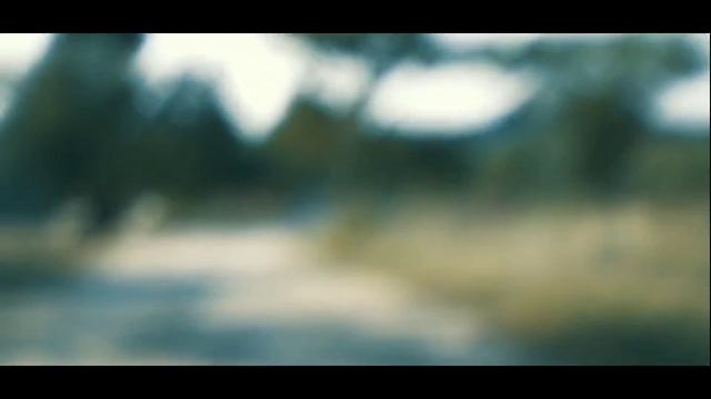 Video Bokeh 100% Full Hd смотреть онлайн