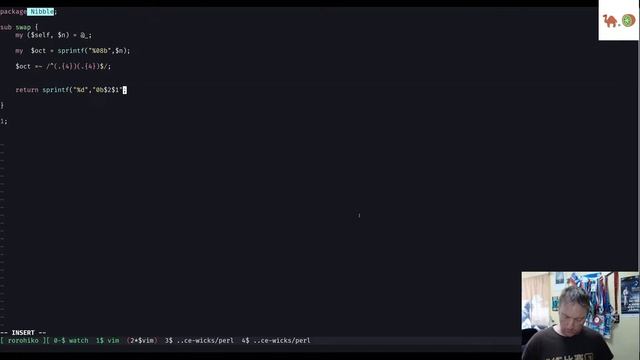 Perl.Kiwi - Live Coding смотреть онлайн