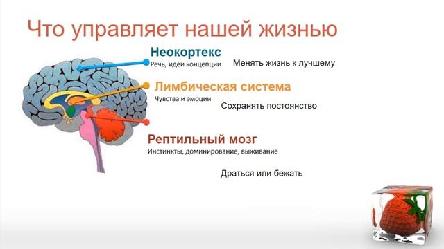 Надежда Семененко