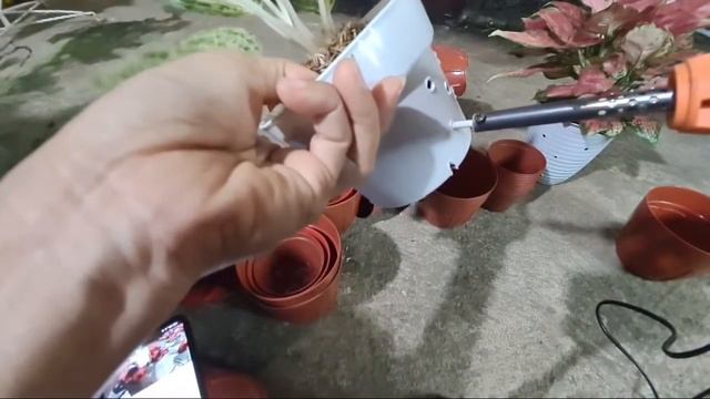 Yuk Permak Pot Aglao Bersama Fmm (Sambil Ngobrol 😅) смотреть онлайн