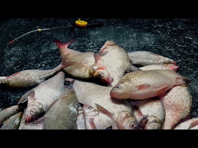 ЧУДО МОРМЫШКА !!! НАТЯГАЛ И ПОЕХАЛ ДОМОЙ! РЫБАЛКА смотреть онлайн