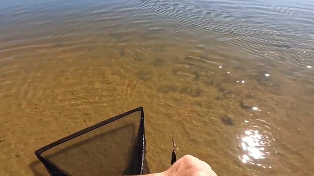 Команда "GT" на озере Lac de Pannecière Франция 2023.Тренировка. Подбор программ. Ловля карпа. смотреть онлайн