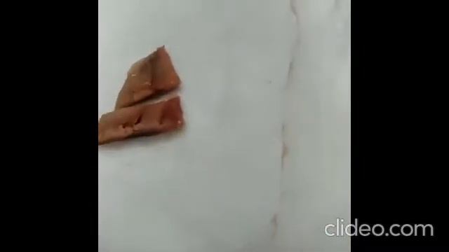 Пробуем вяленый залом. Обалденно вкусно??? смотреть онлайн