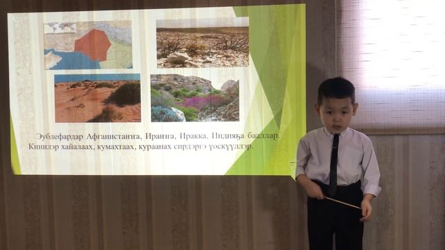 НПК «Первые шаги» Егоров Максим.