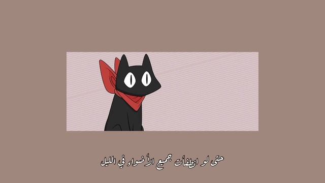 The Black Cat Tango "Arabic sub" | القطة السوداء تانغو - مترجمة смотреть онлайн