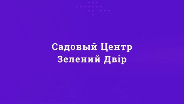 Садовый Центр Зелений Двір - Роза Аллегрия смотреть онлайн