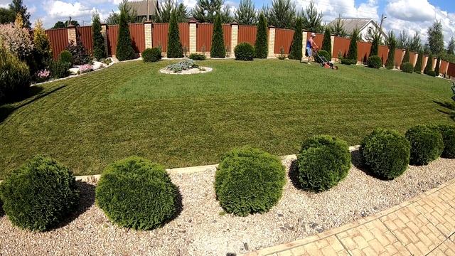 Мульчирование газона.Уход за газоном. Подкормка газона.Газон своими руками. Восстановления газона.