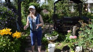Чем подкормить розы в августе