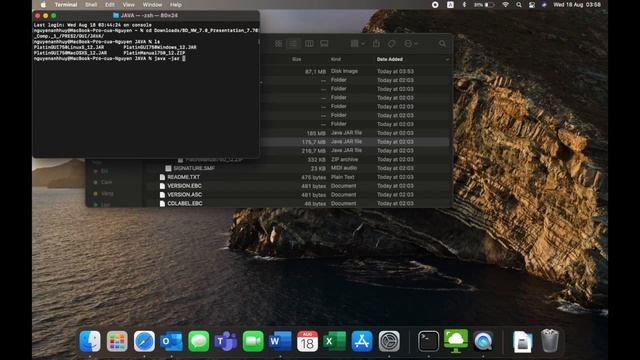Install SAP Gui 750 on Mac | Fix error Java application lauch failed смотреть онлайн