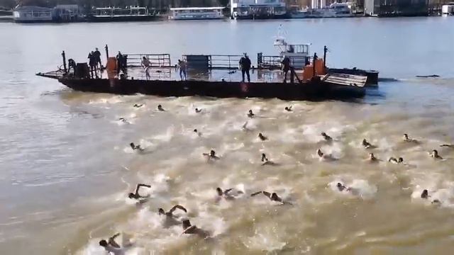 #крещениегосподне #крстовдан #Белград #сербия #srbija смотреть онлайн