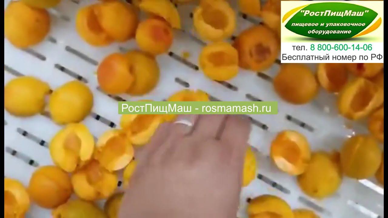 Машина для удаления косточек из абрикоса от РостПищМаш смотреть онлайн
