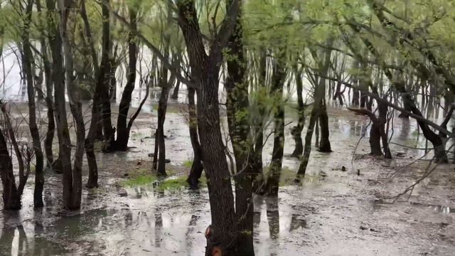 Вокруг краснодара за восемьдесят километров смотреть онлайн