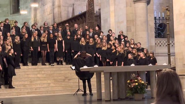 Bogoroditse med 9CD från Adolf Fredriks musikklasser och NASA20 från Lars-Erik Larsson-gymnasiet смотреть онлайн