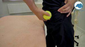 Убираем боль в ягодице и ноге при ущемлении седалищного нерва грушевидной мышцей