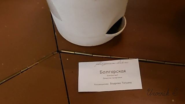 Марафон пеларгоний в Биологическом музее. смотреть онлайн