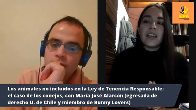 Los Animales No Incluídos En La Ley De Tenencia Responsable: El Caso De Los Conejos