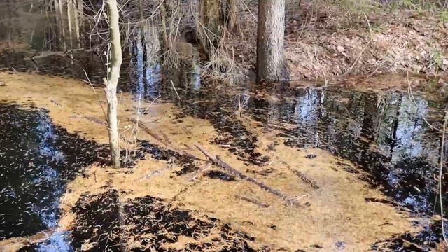 Весенние ручьи смотреть онлайн