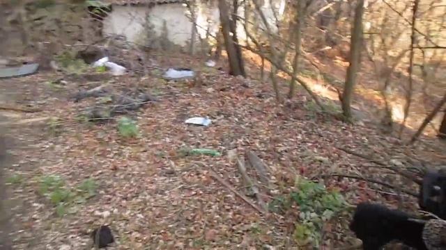 Кисловодский бардак. В 14-й школе нет спортзала смотреть онлайн