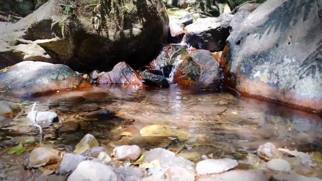 Музыкальная терапия. Музыка для учёбы и концентрации. Медитация. смотреть онлайн